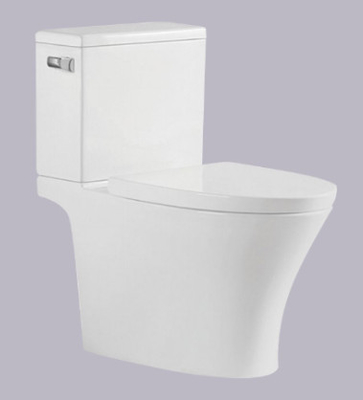 Bacia filipino 695*395*750mm de Watercloset do toalete de duas partes da armadilha de S