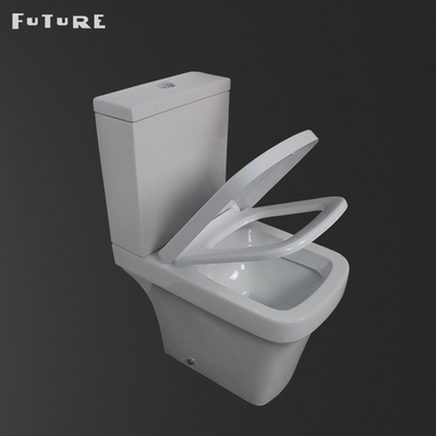Assoalho - toalete sem aro montado Pan Gravity Flushing With Soft que fecha a tampa de Seat