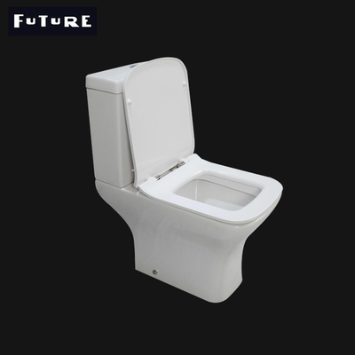Toalete curto 550mm da projeção do restaurante uma tecnologia de moldação da parte