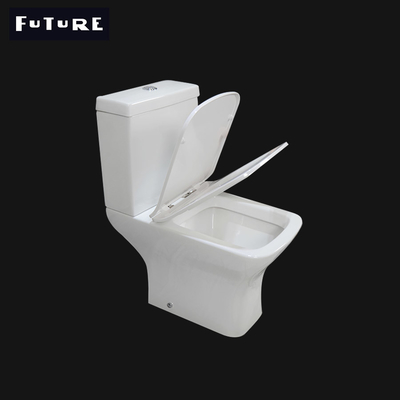 Toalete curto 550mm da projeção do restaurante uma tecnologia de moldação da parte