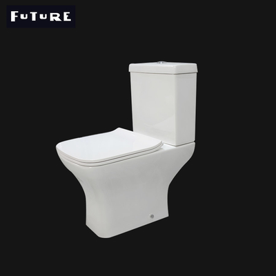 Toalete curto 550mm da projeção do restaurante uma tecnologia de moldação da parte