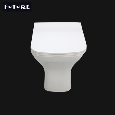 Contemporâneo de nivelamento do Washdown moderno de volta ao toalete da parede para o hotel BTW301