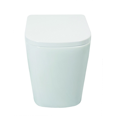 Um WC cerâmico vitrificado liso do toalete da parte com nivelamento eficiente próximo macio de Seat