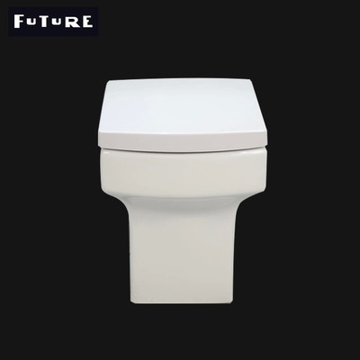 Toalete acoplado próximo de nivelamento do quadrado do Washdown de volta a Wc Eco da parede amigável