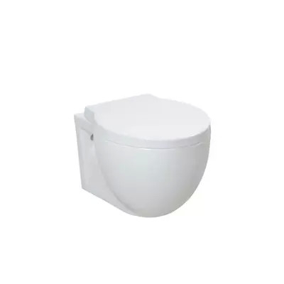 A parede sem aro Hung Toilet With Cistern Concealed risca resistente