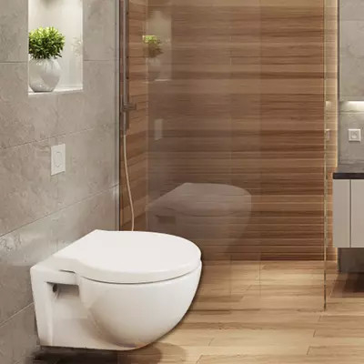A parede sem aro Hung Toilet With Cistern Concealed risca resistente