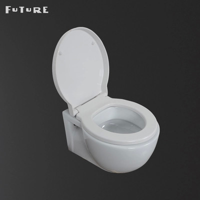 A parede sem aro Hung Toilet With Cistern Concealed risca resistente