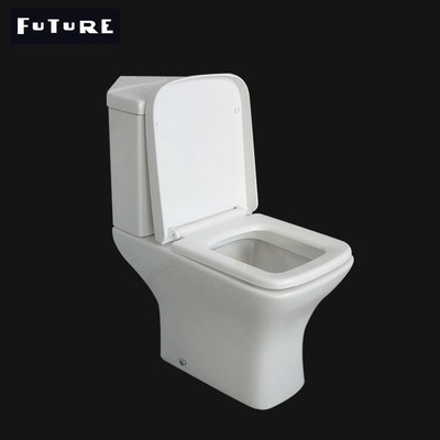 Espaço que salvar o armário de água acoplado próximo padrão ideal ISO9001 do Washdown do toalete